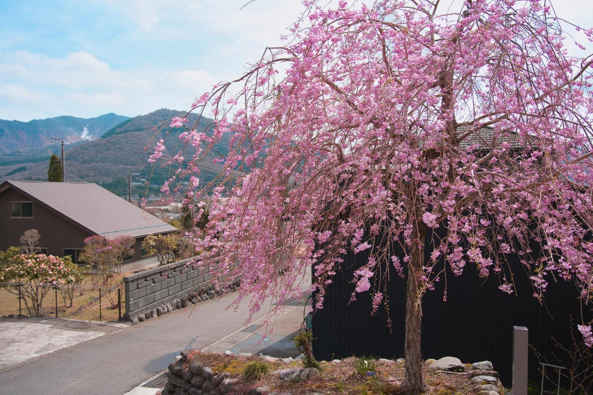 Root Hakone 호텔 외부 사진